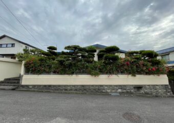 堺市南区茶山台 家屋解体